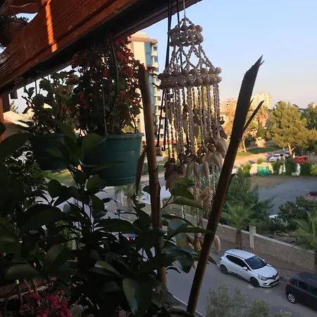 Orange Garden Проживание в семье *