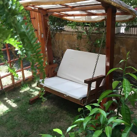 Проживание в семье Orange Garden