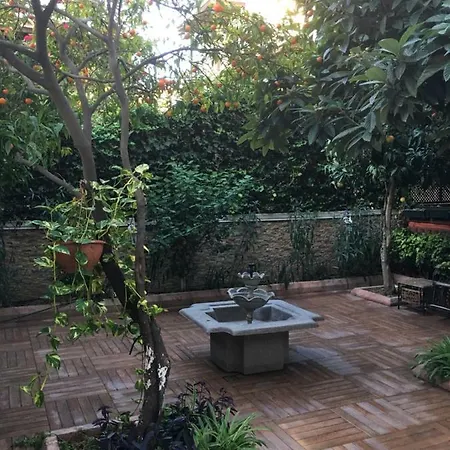 Проживание в семье Orange Garden *
