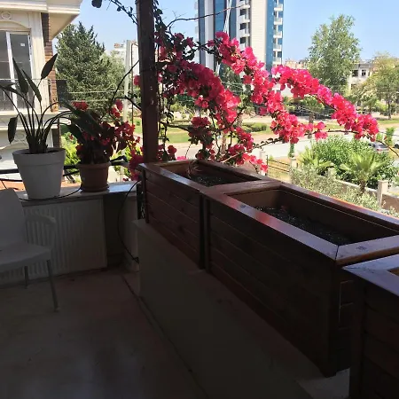 Kwatera prywatna Orange Garden