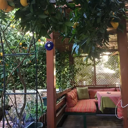 Orange Garden Séjour chez l'habitant *