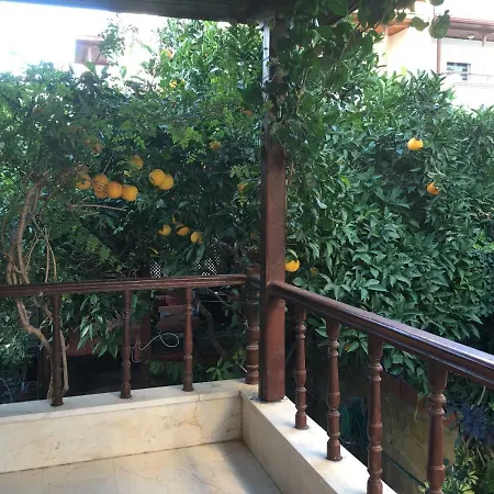 Orange Garden Séjour chez l'habitant