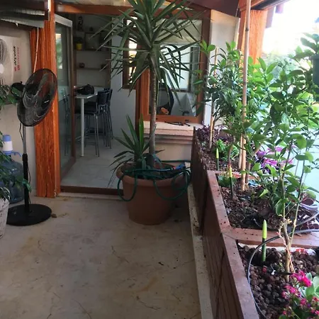Homestay Orange Garden Antalya