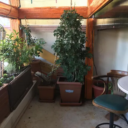Homestay Orange Garden