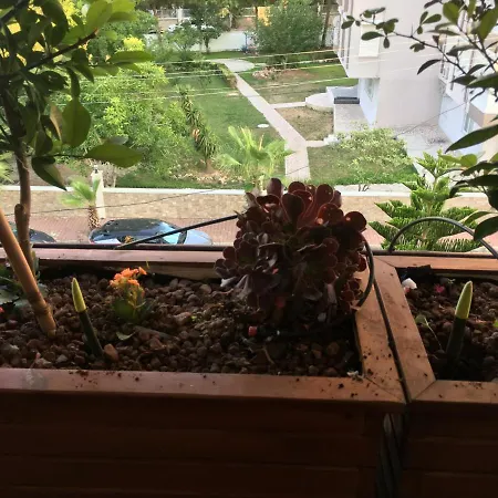 Проживание в семье Orange Garden *